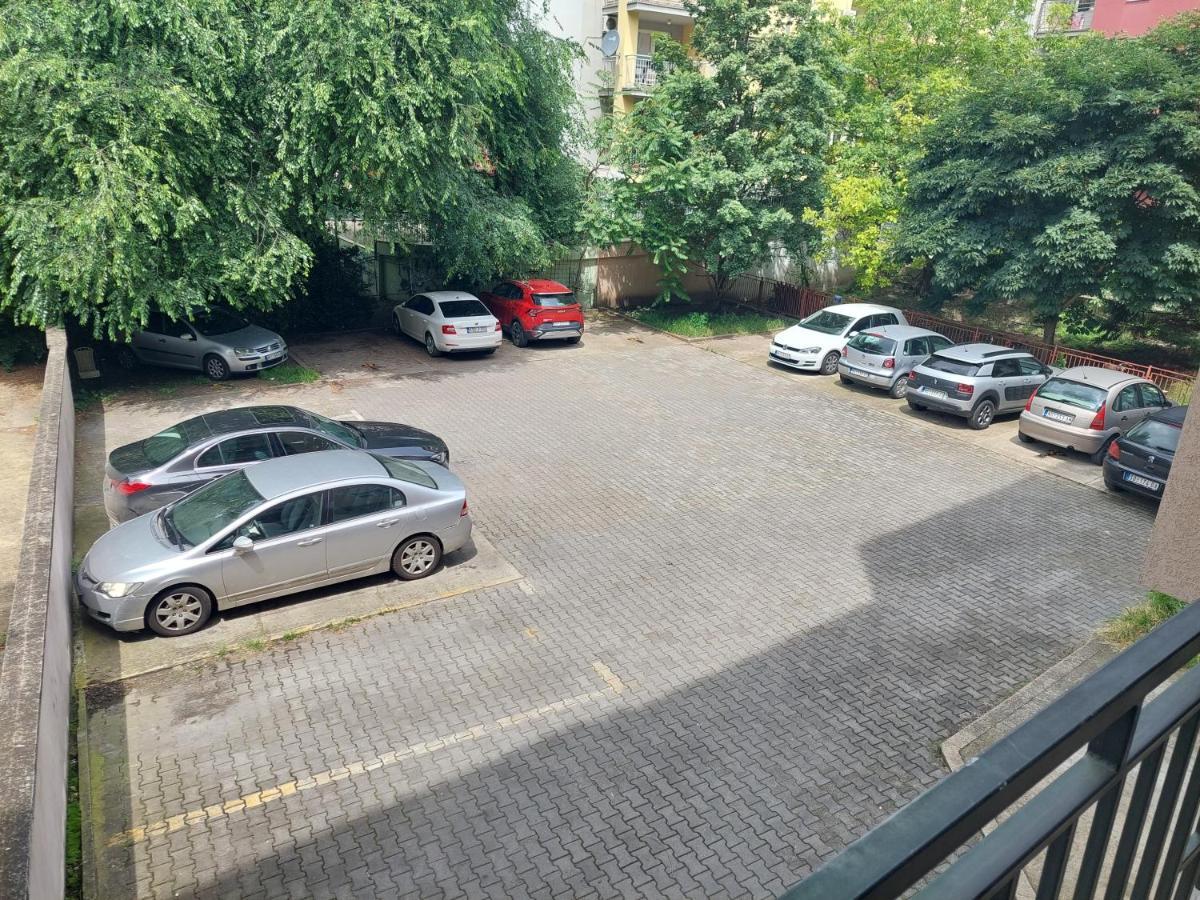 Jasmin Novi Sad